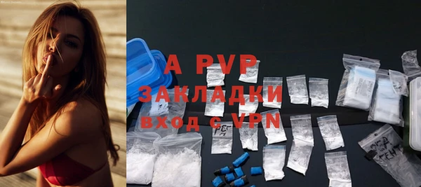 стаф Абаза