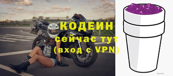 стаф Абаза