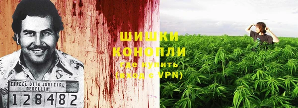 стаф Абаза